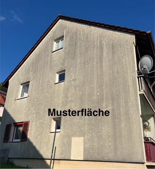 Musterfläche Beispiel 1